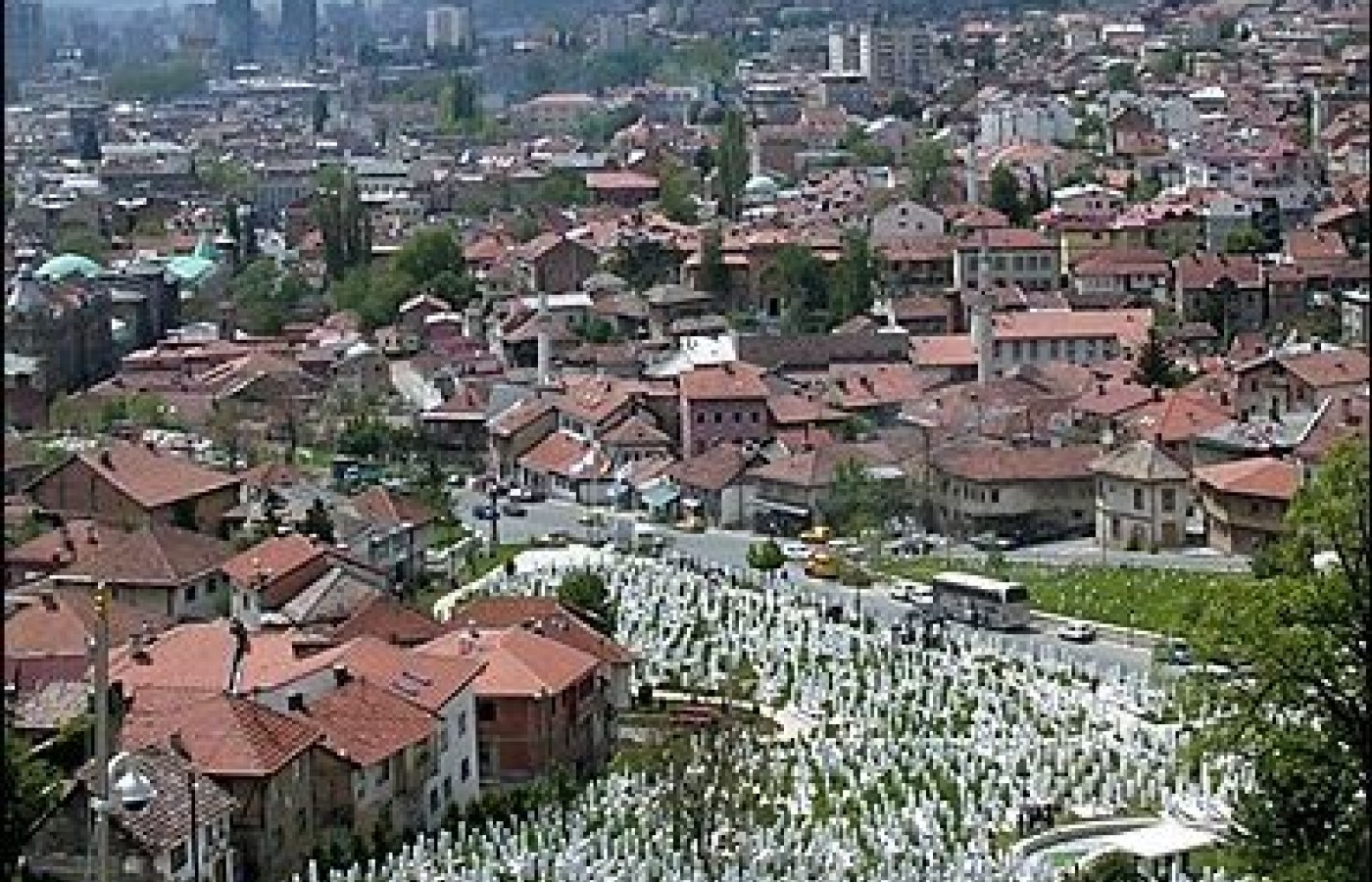 Sarajevo grave yard.