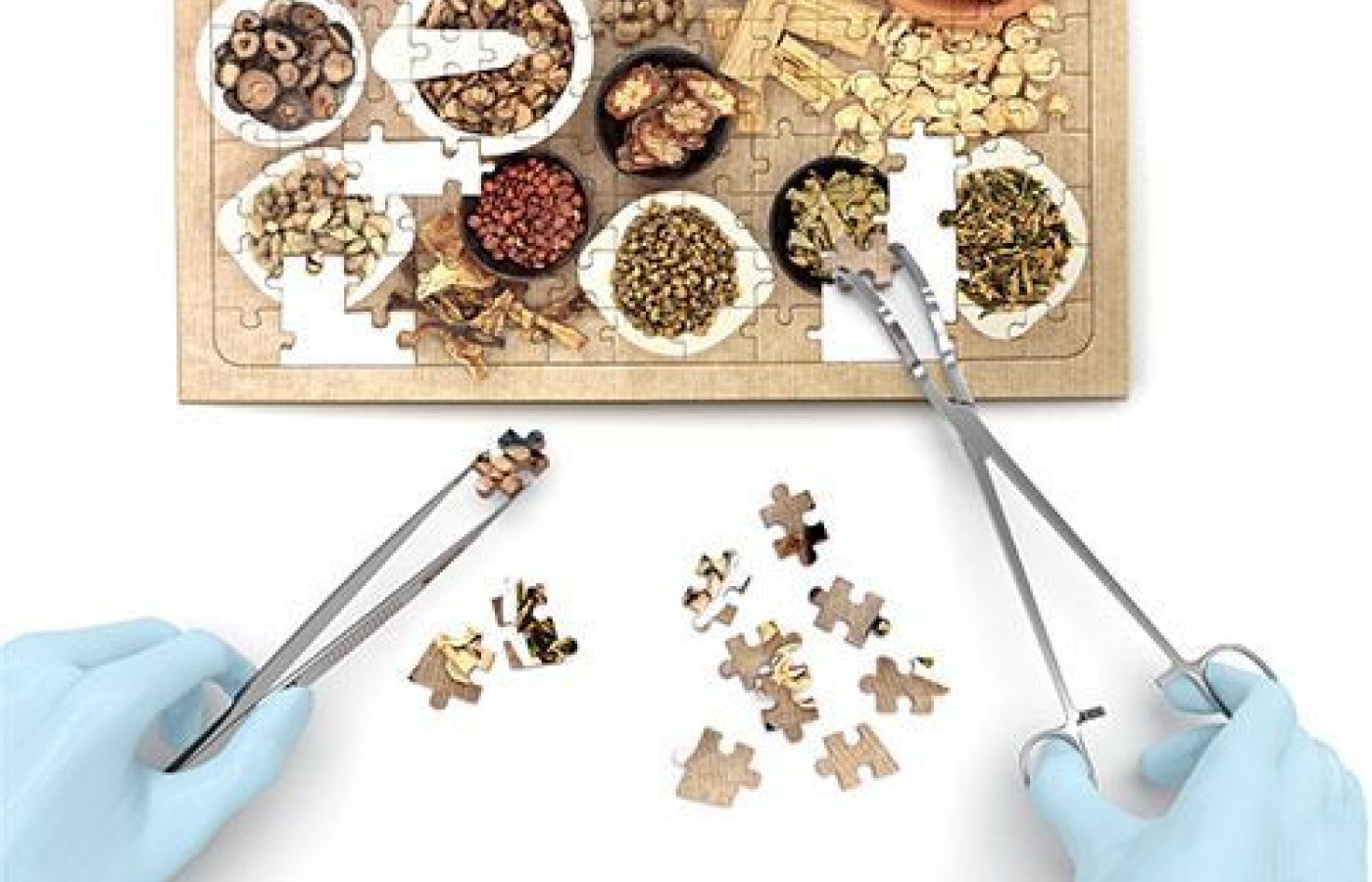 jigsaw puzzles