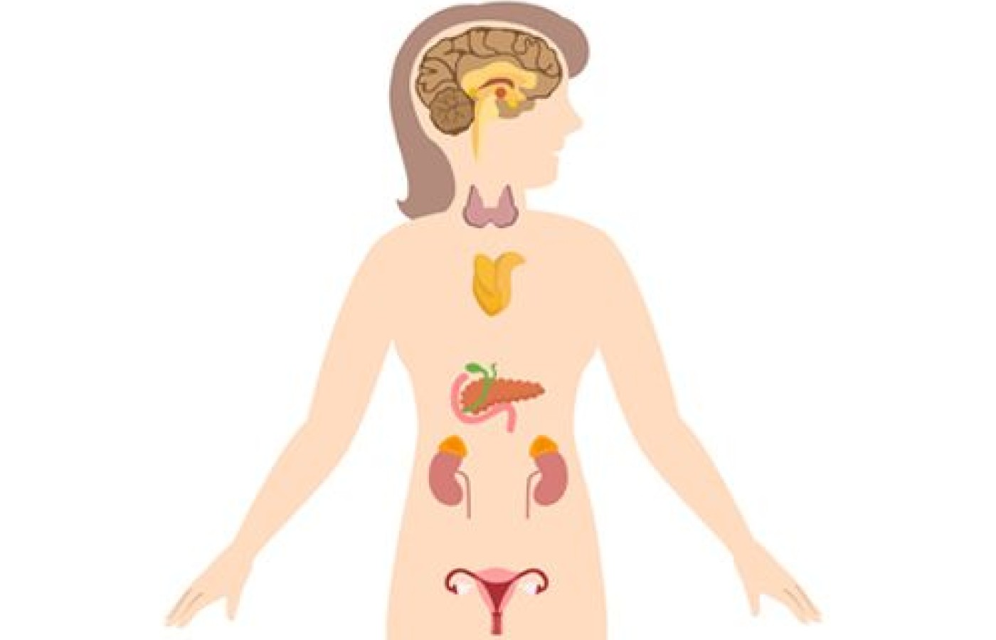 Women's Hormones: A Western & Eastern Perspective