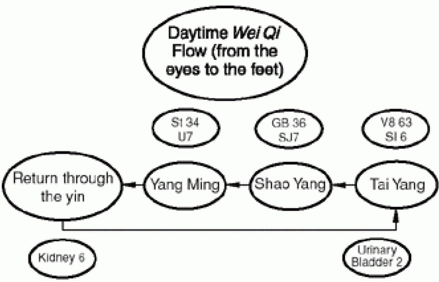 The daytime wei qi flow.