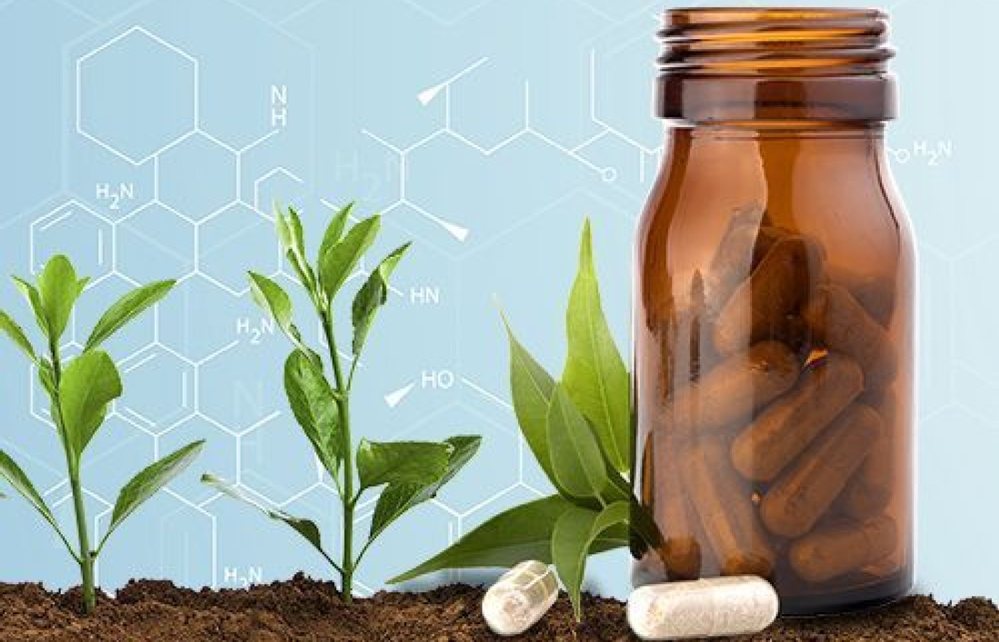 Herbal Medicine Continues to Evolve