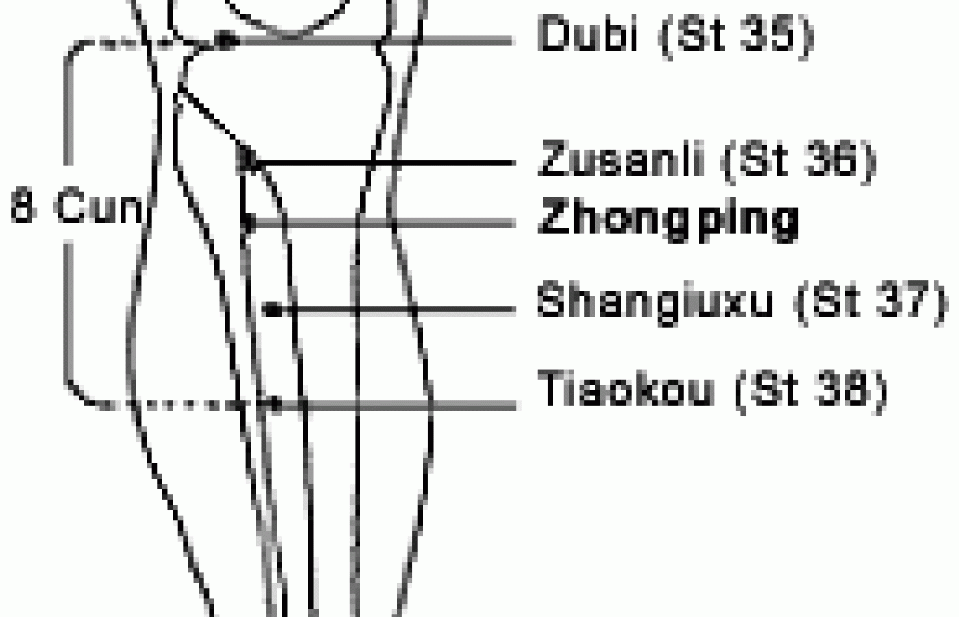 Illustration showing the location of the zhongping extra point on the lower leg.