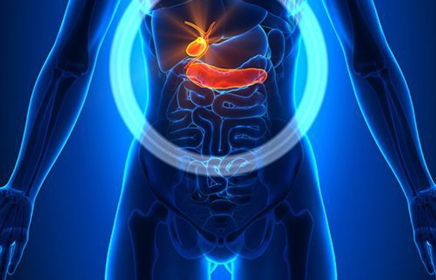 The Exhaustive Quality of Latency: The Gallbladder's Luo Vessels