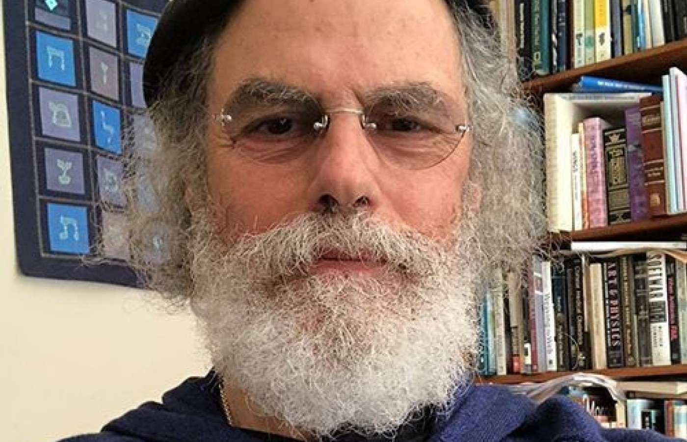 The Classical Texts & Integrative Medicine: An Interview With Z'ev Rosenberg