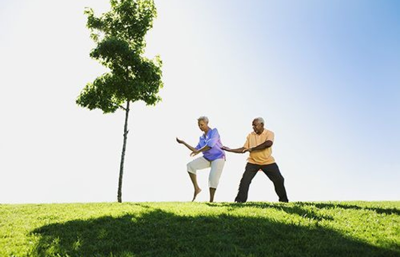 Tai Chi Documentary Premiere