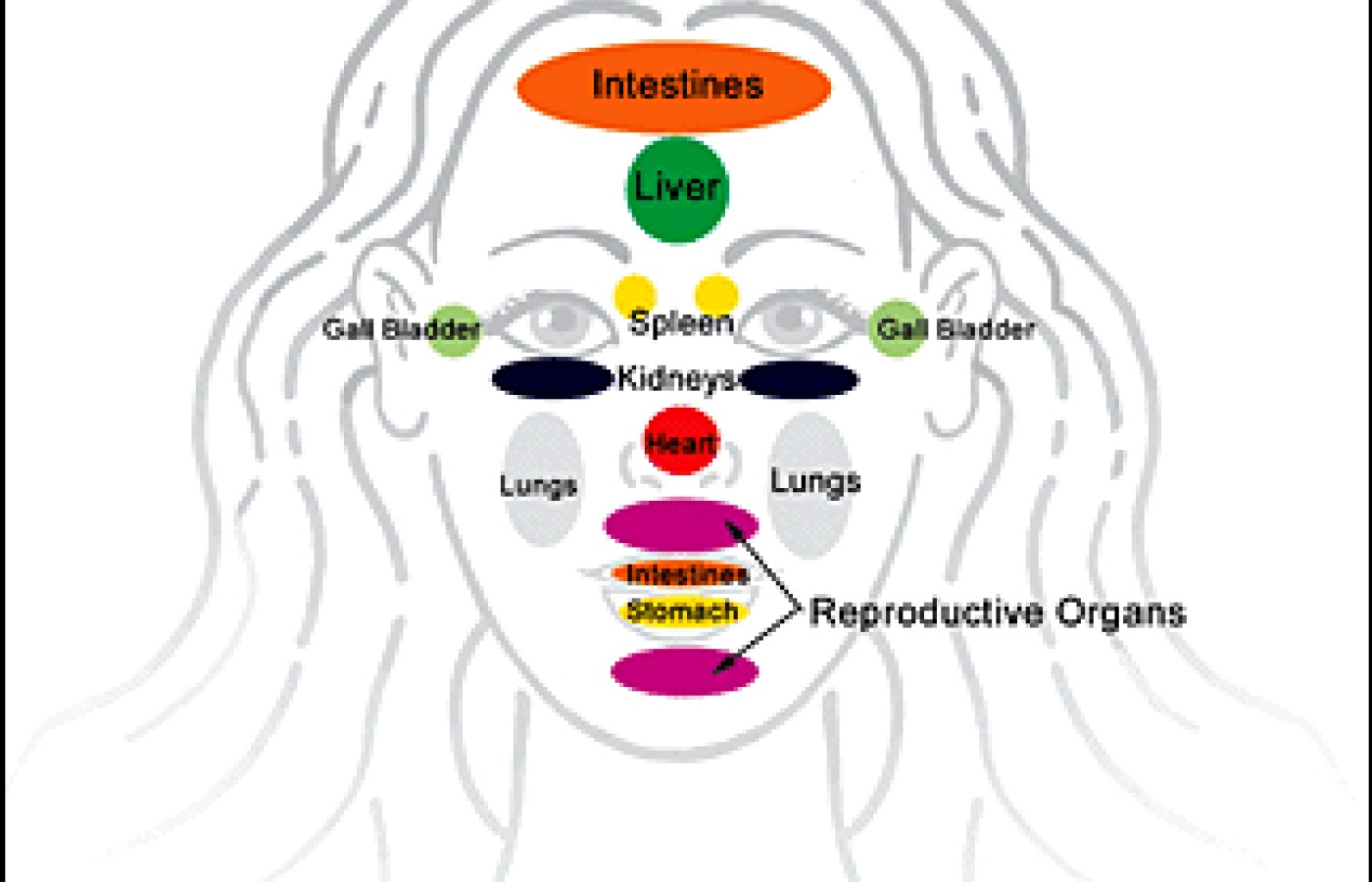 Facial reflex zones.