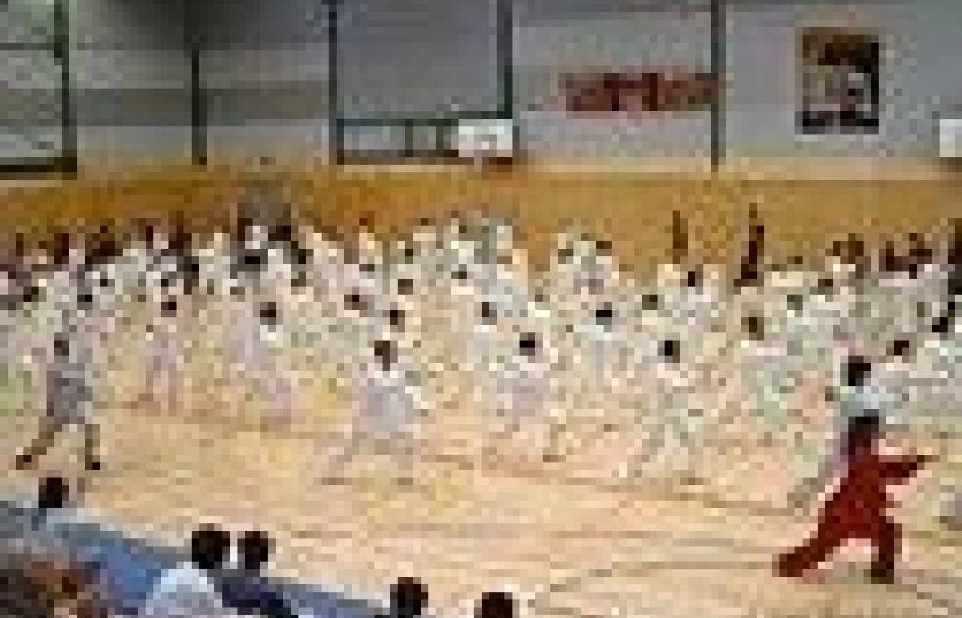 Chenshi Taichicise Centre during Wold Tai Chi & Qigong Day.